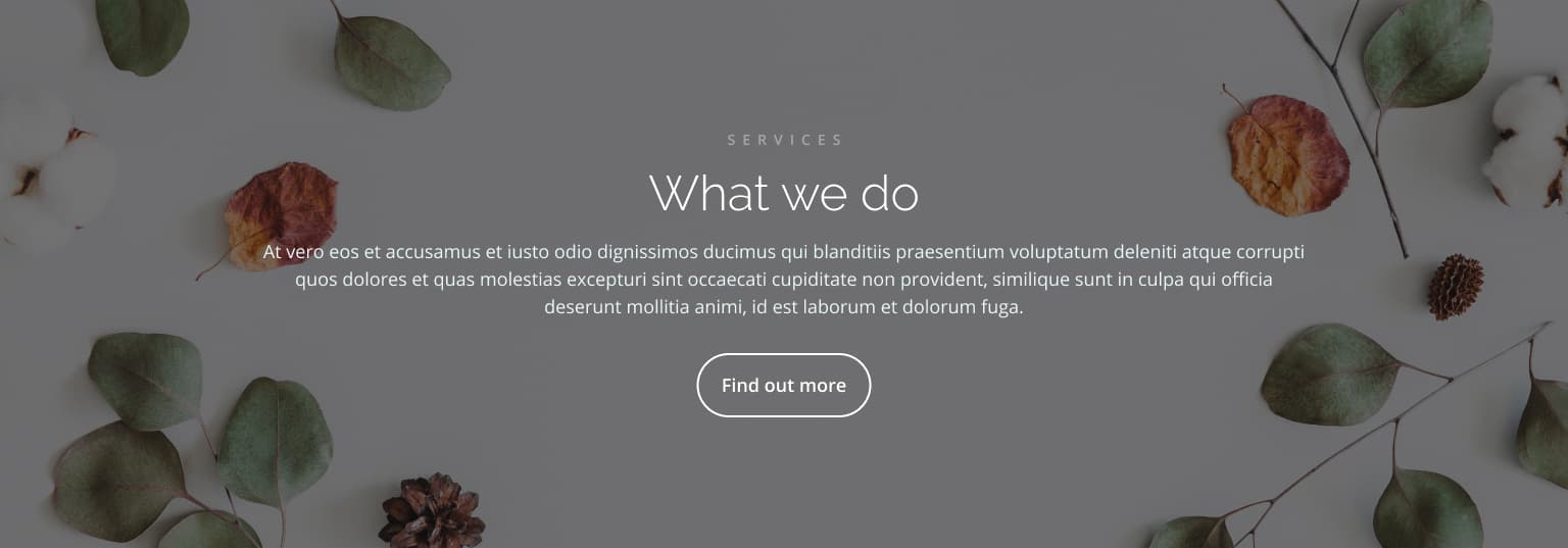 Image Guidelines: full width cta 03